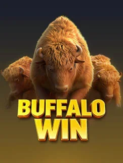 Buffalo Win game thumbnail